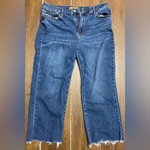 Judy Blue Dark Wash Petite Wide Crop Straight Jeans with Raw Hem